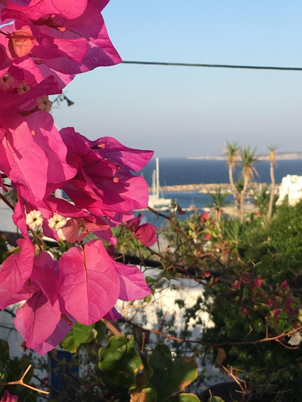 Stefano Apartments Naousa  Luaran gambar
