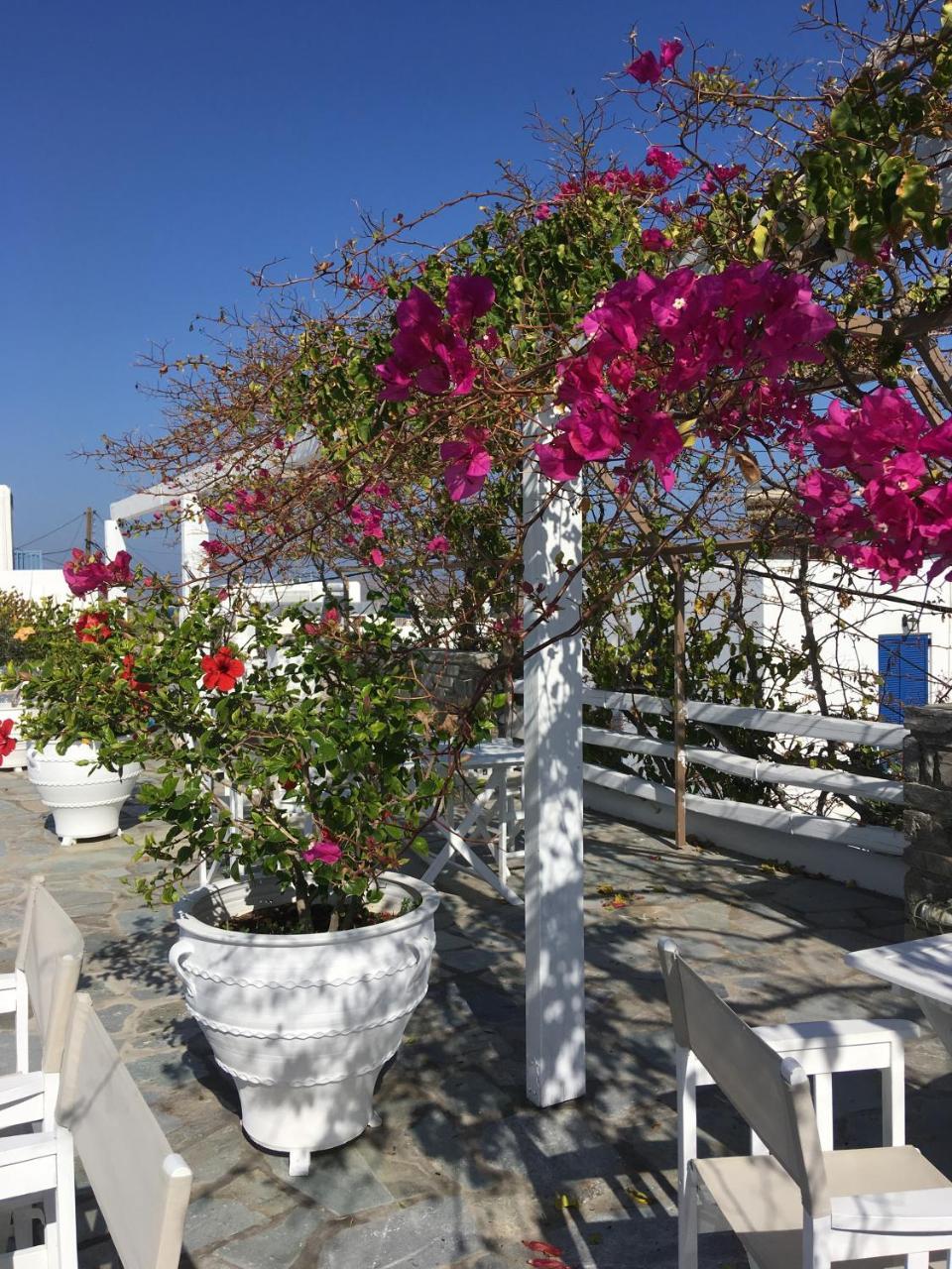 Stefano Apartments Naousa  Luaran gambar